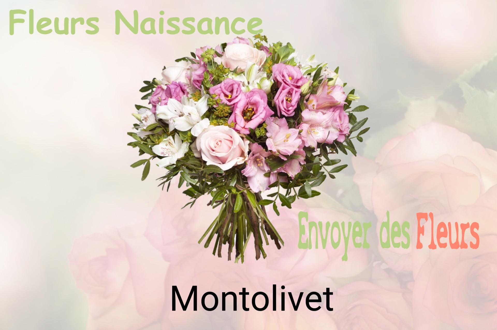 Bouquet de fleurs de naissance livré à Montolivet